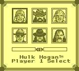 Screenshot of WWF Superstars 2 (Jap)