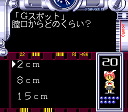 Screenshot of Quiz Toukou Shashin (J)